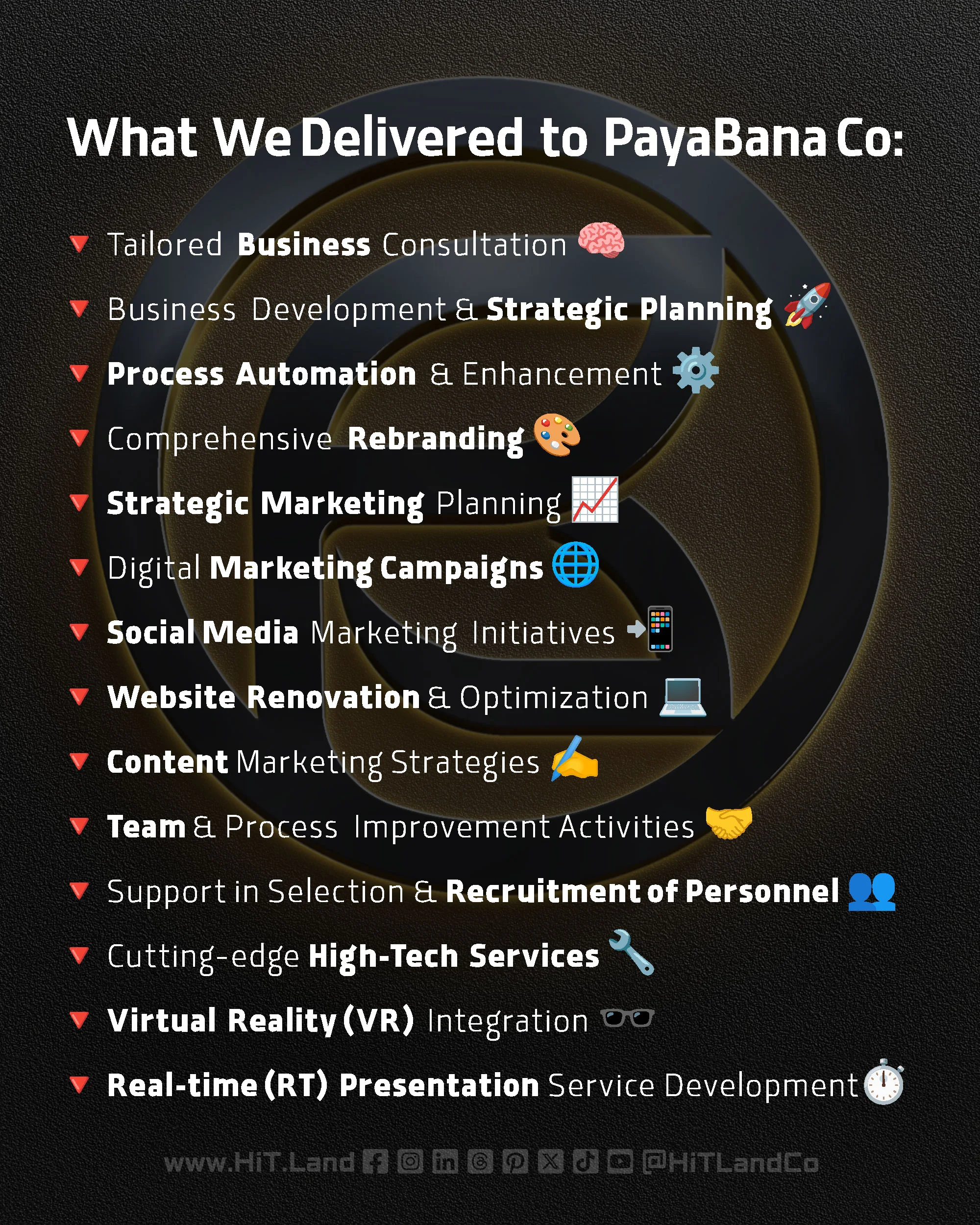 List of delivered services for PayaBana Co with icons on dark textured background