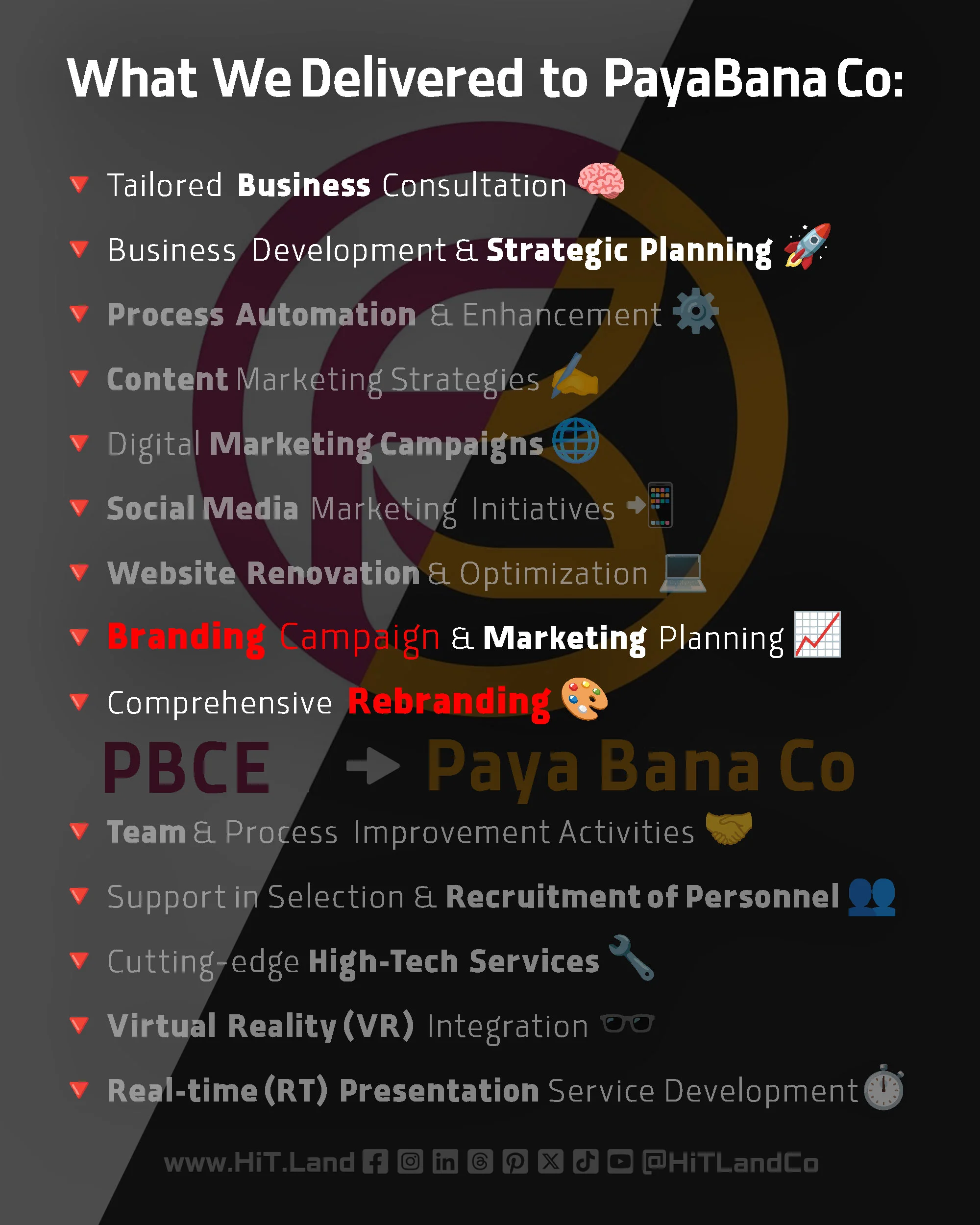 Text list of services delivered to PayaBana Co with icons